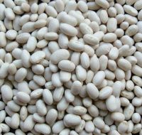 White Beans