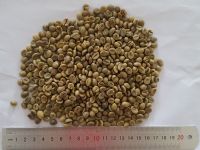 robusta green coffee beans, new crop, washed, polished grade A, screen 16