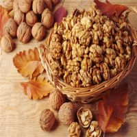 Cheap price Walnuts in shell/walnuts kernels for sale