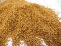 Seeds camelina bulk supply