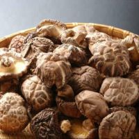 Dried Maitake Mushroom Grifola Frondosa
