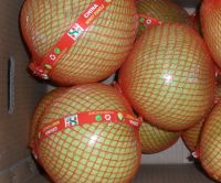 Fresh Honey Pomelo/ Citrus Fruit/ Tropical Fruit