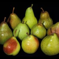 Fresh Pear Juicy 100 Quality