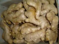 Wholesale Premium Grade Organic Fresh Ginger