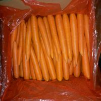 Fresh Vegetables Bulk Cheap Wholesale Price Fresh Carrot For Sale