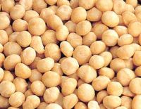 Organic Macadamia Nuts