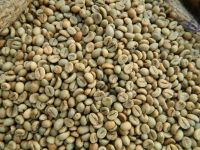 Robusta Coffee beans