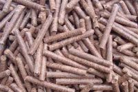 Biomass wood pellet price