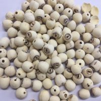 Organic white Lotus seed without peel and plumule / lotus seed powder