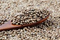 wholesale price Organic Hulled Hemp Seed Shelled Hemp Seeds