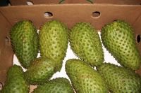 High Quality Soursop Fruits for Sale