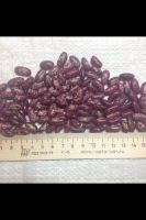 Red mottled kidney beans