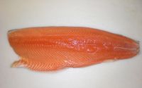 PBO Salmon
