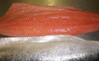 scottish salmon Fillets