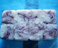 Ocean-frozen-squid