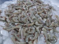 Frozen Vannamei Shrimp