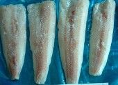 Hake fillet