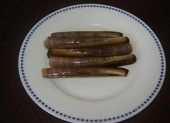 Razor Clam