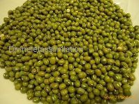 Green mung beans