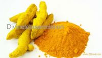 Turmeric Powder