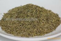 Cumin Seed