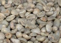 Arabica Green Coffee Bean Grade A