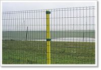 Sell PVC coated welded mesh, PVC coated Euro Fence