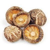 organic dried shiitake mushroom