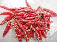 Sannam Red Dry Chilli