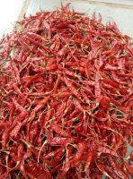 Teja Red Dry Chilli