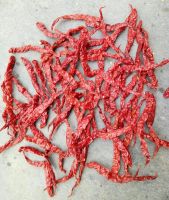 Byadgi Red Dry Chilli