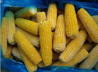 frozen fresh super sweet corn