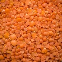 Red Lentils  .