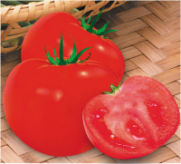 Big Red Fruit Tomato Seed For Sale