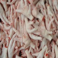 Processed Frozen Chicken Feet/Paws