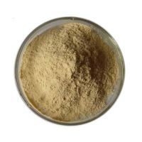 Food Grade Lipase Enzyme Powder