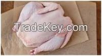 Hot Sale QUALITY Frozen Whole Chicken