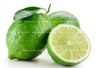 Sell fresh seedless lime