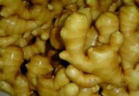 Ginger Extract