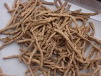 Polygala extract, Thinleaf Milkwort Root Extract