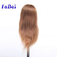 factory popular female cheap hair mannequin head with 100% human hair