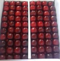 Fresh Cherries from Uzbekistan