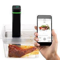 slow cooker machine wifi control immersion circulator sous vide