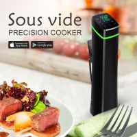 Dissna factory directly Sous Vide cooker with WiFi