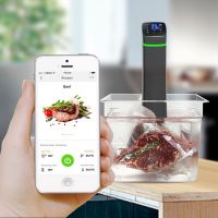 NEWEST! FACTORY DIRECT! Sous vide wifi machine for precision slow cooker