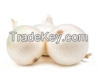 Premium Grade  Fresh Onions