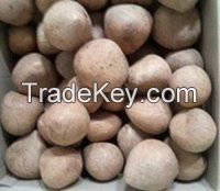 Fresh and dried  Mature Coconut for sale