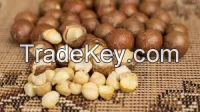 Macadamia Nuts for sale