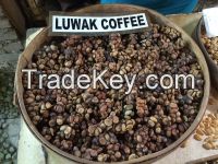 Arabica Green and Roasted Coffee Beans