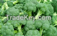 fresh Broccoli